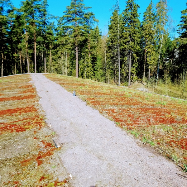 Meilahden liikuntakeskuksen viherkatto on tutkimuskatto, jolla toteutettiin useita erilaisia perustamistyylejä. Laajan tutkimuksen avulla on selvitetty mm. optimaalisia kasvukerroksen ominaisuuksia ja lajistoa. Katto on kooltaan 5100m² ja näin ollen yksi suomen suurimmista.